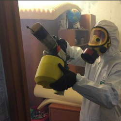 Уничтожение клопов в квартире. Гремячинск
